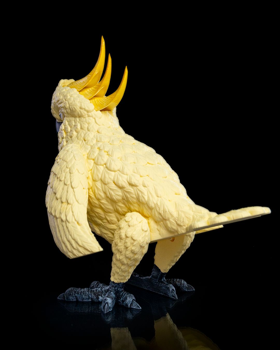 Papoušek kakadu - 3D omalovánky
