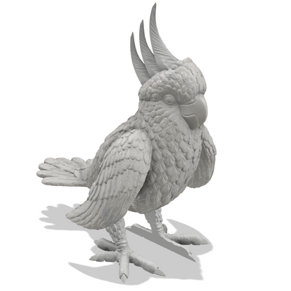 Papoušek kakadu - 3D omalovánky