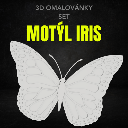 Motýl Iris - Set 3D omalovánky