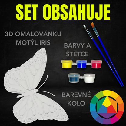 Motýl Iris - Set 3D omalovánky