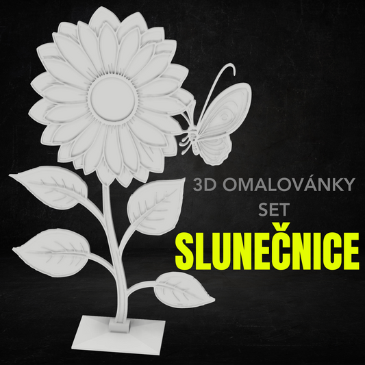 Slunečnice - Set 3D omalovánky